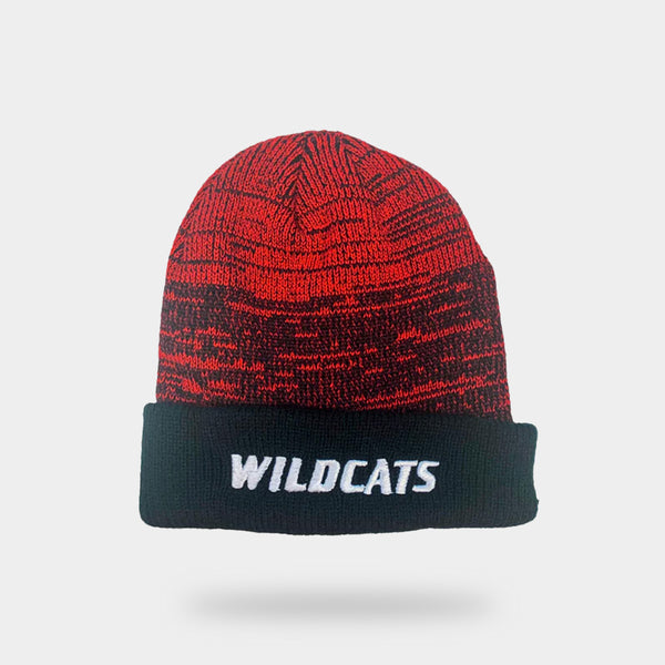 Basic Beanie