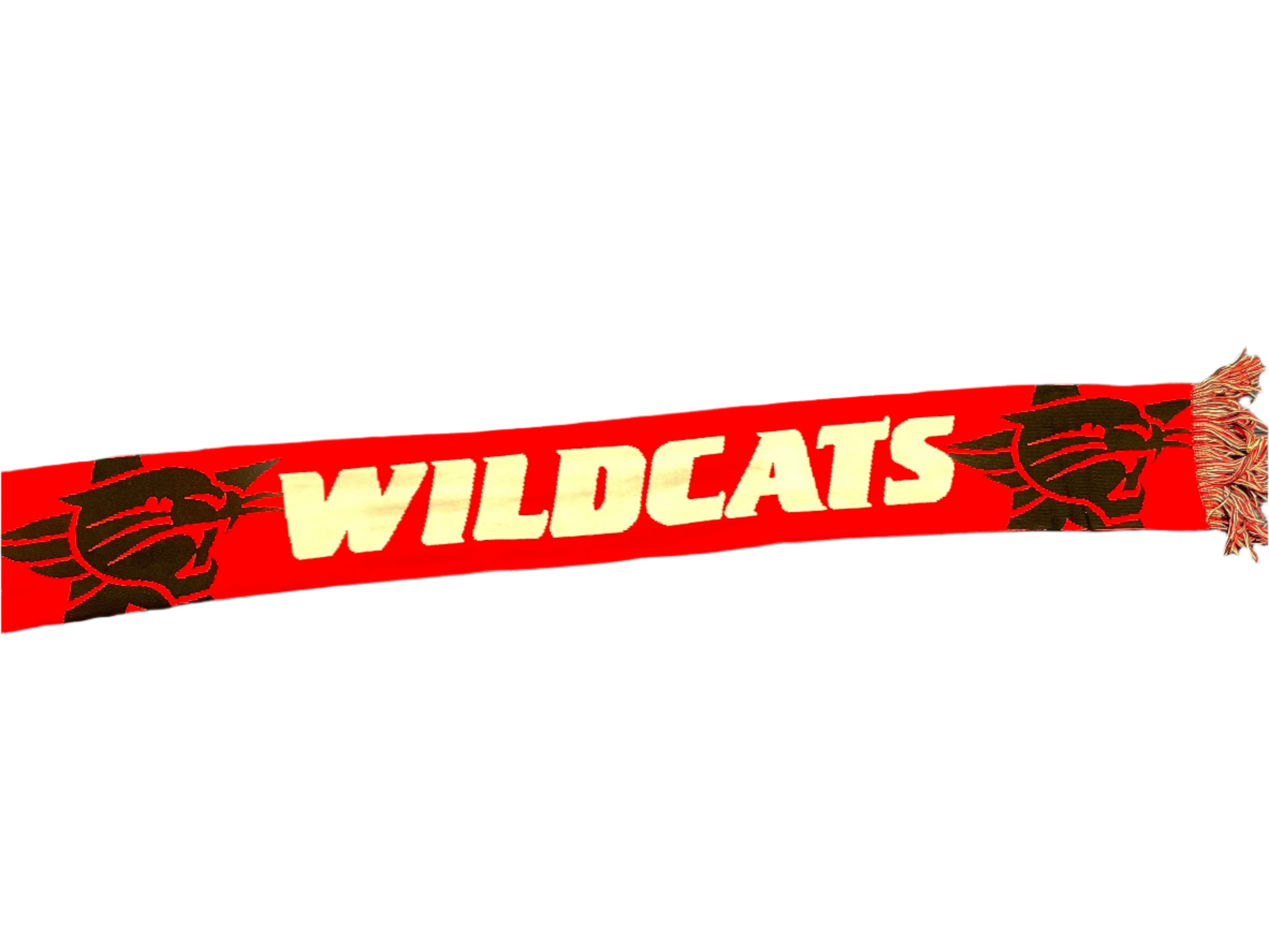 2024/25 Wildcats Scarf