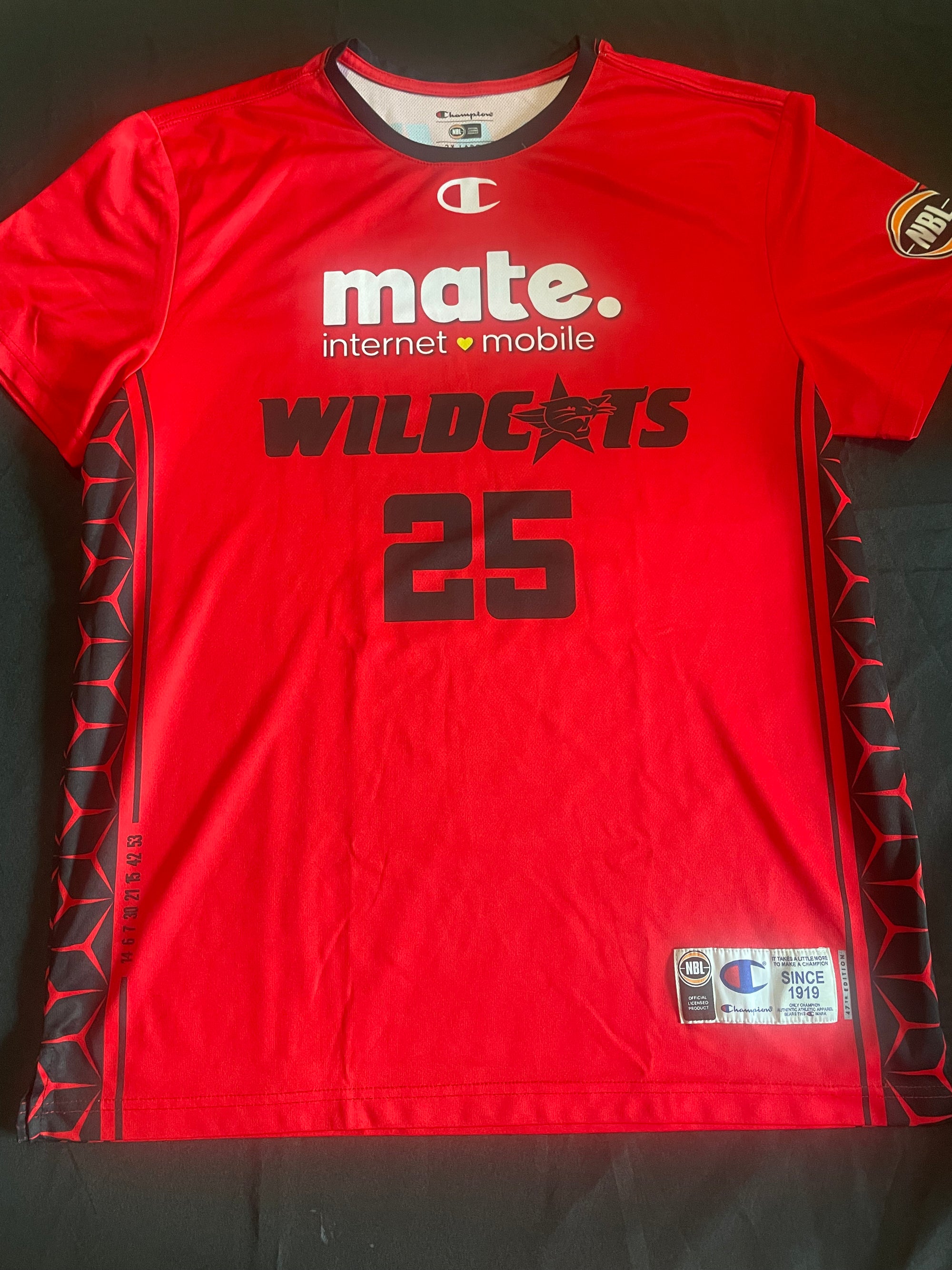 2024/25 SS Shooting Shirt PINDER