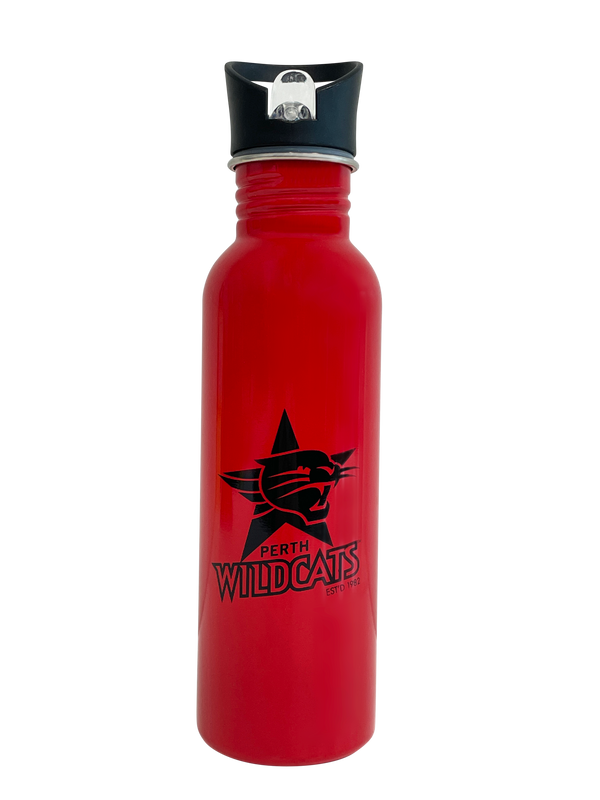 Straw Metal Drink Bottle