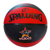 Team Logo Basketball Size 6