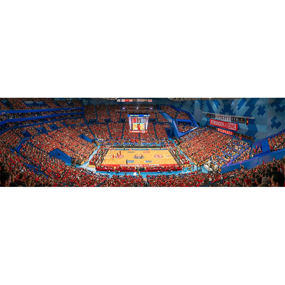 2019 Game Three Arena Panorama Lithograph